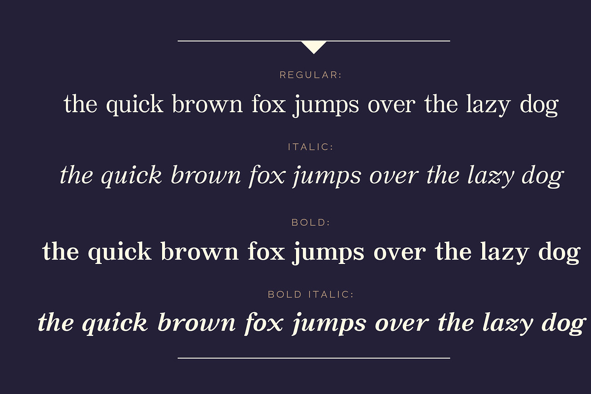 JT Symington, a Serif Font by JAM Type (Photo 9 of 13)