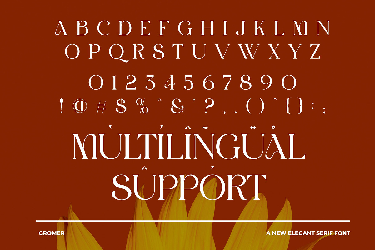 GROMER Elegant Ligature Serif, a Font by Alfinart (Photo 7 of 10)