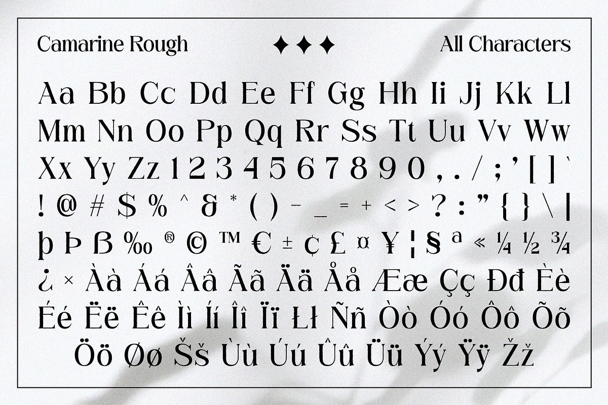 Camarine Rough, a Serif Font by Craft Supply Co. (Photo 8 of 8)