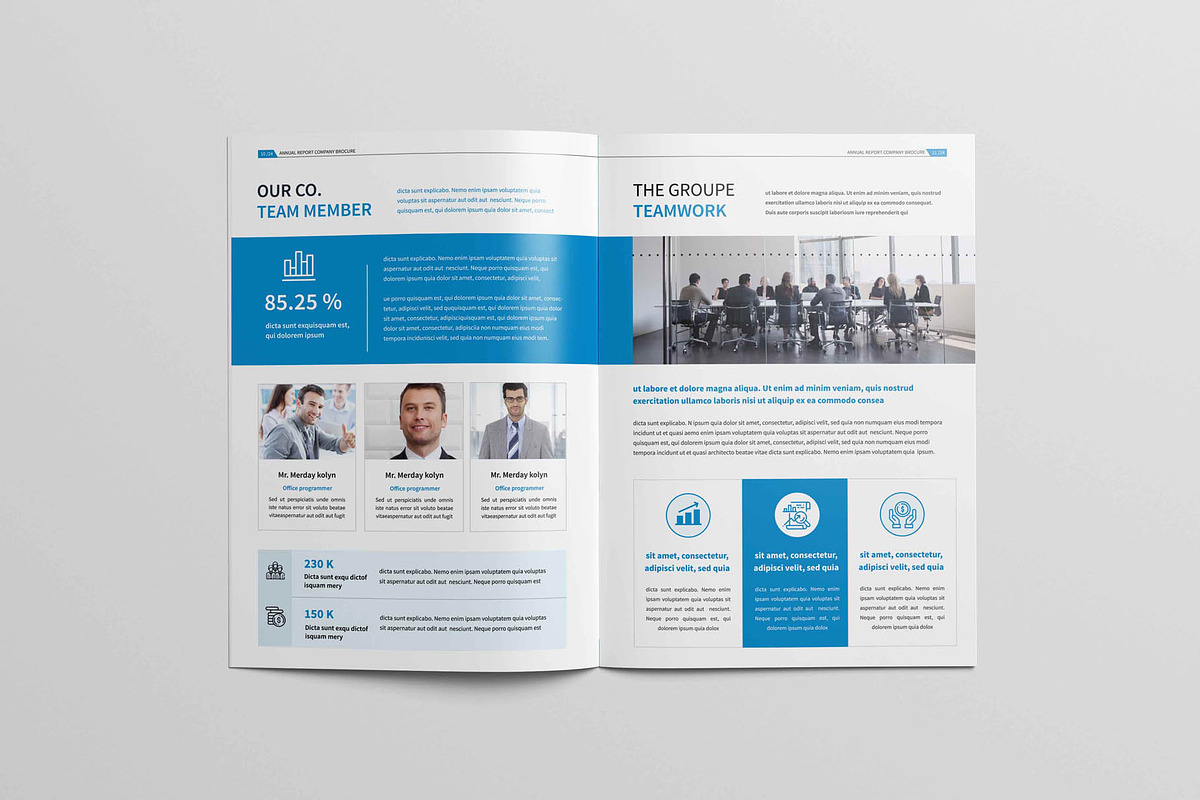 Annual Report Brochure, a Brochure Template by New Lines (Photo 12 of 13)