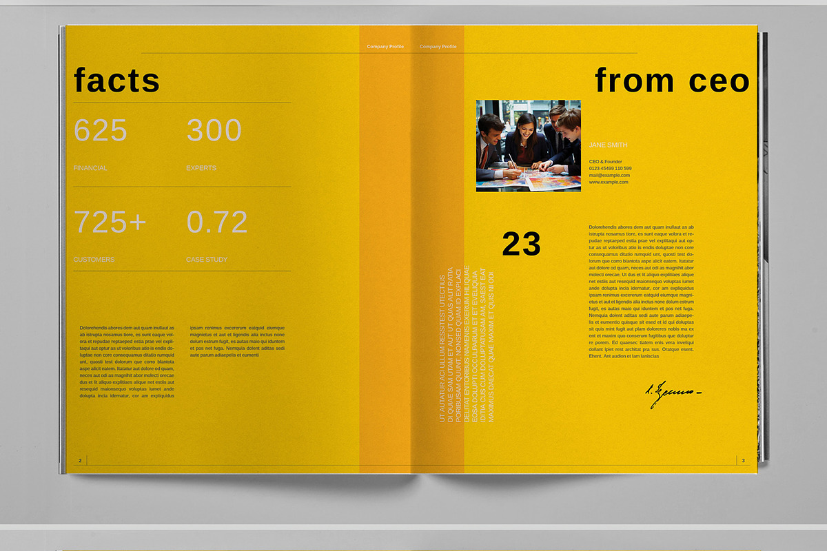 Yellow Company Profile Brochure, a Brochure Template by Boris Cupac (Photo 3 of 7)