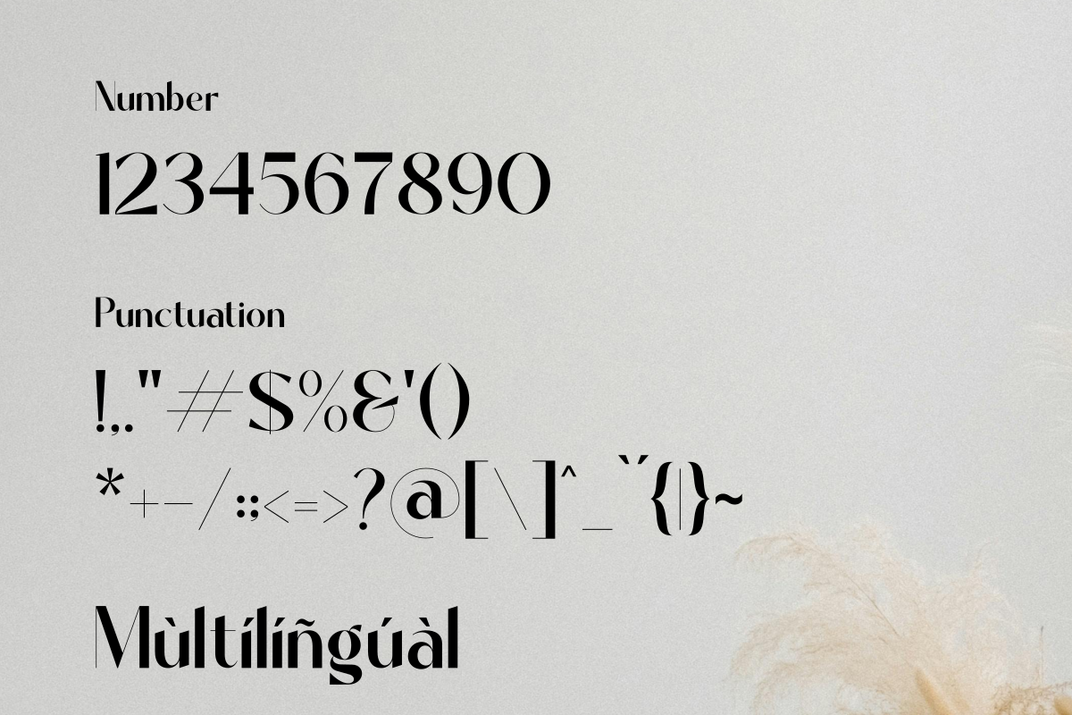 Davinca, a Sans Serif Font by Zafiratype (Photo 14 of 14)