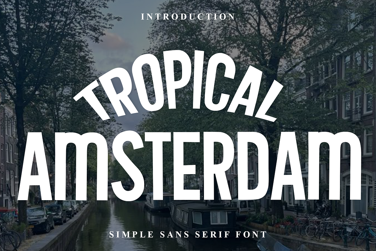 Tropical Amsterdam, a Script Font by FreshTypeINK (Photo 1 of 8)
