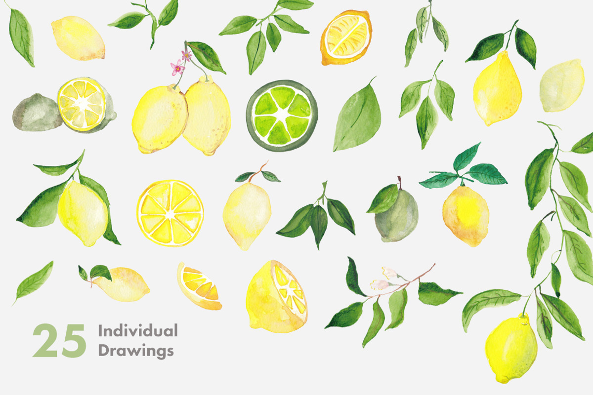Lemons & Limes Watercolor Collection, a Decorative Illustration by Spirit of Colors (Photo 3 of 6)