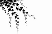 Elegant Leafy Corner Bundle, an Illustration by Creativeshirt (Thumbnail 3 of 9)