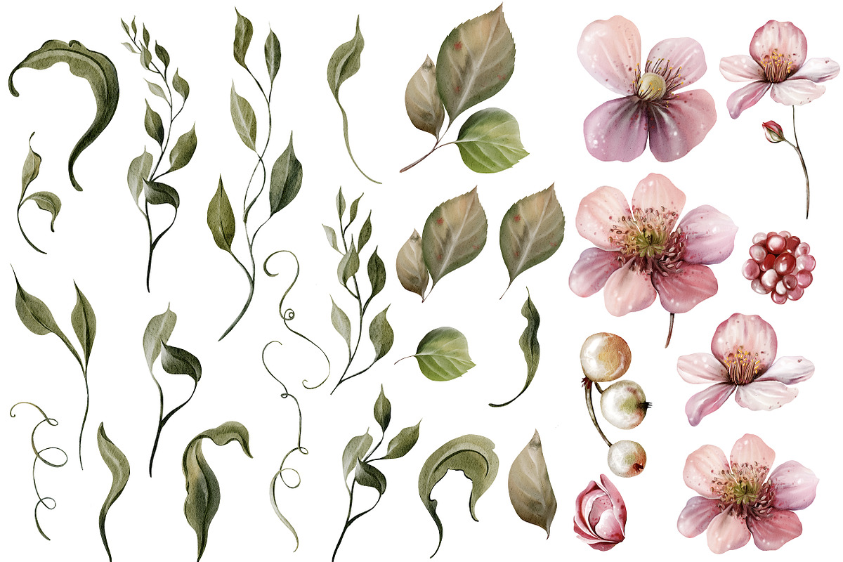 Berries & Flowers Watercolor Element, an Object Graphic by Knopazyzy (Photo 3 of 3)