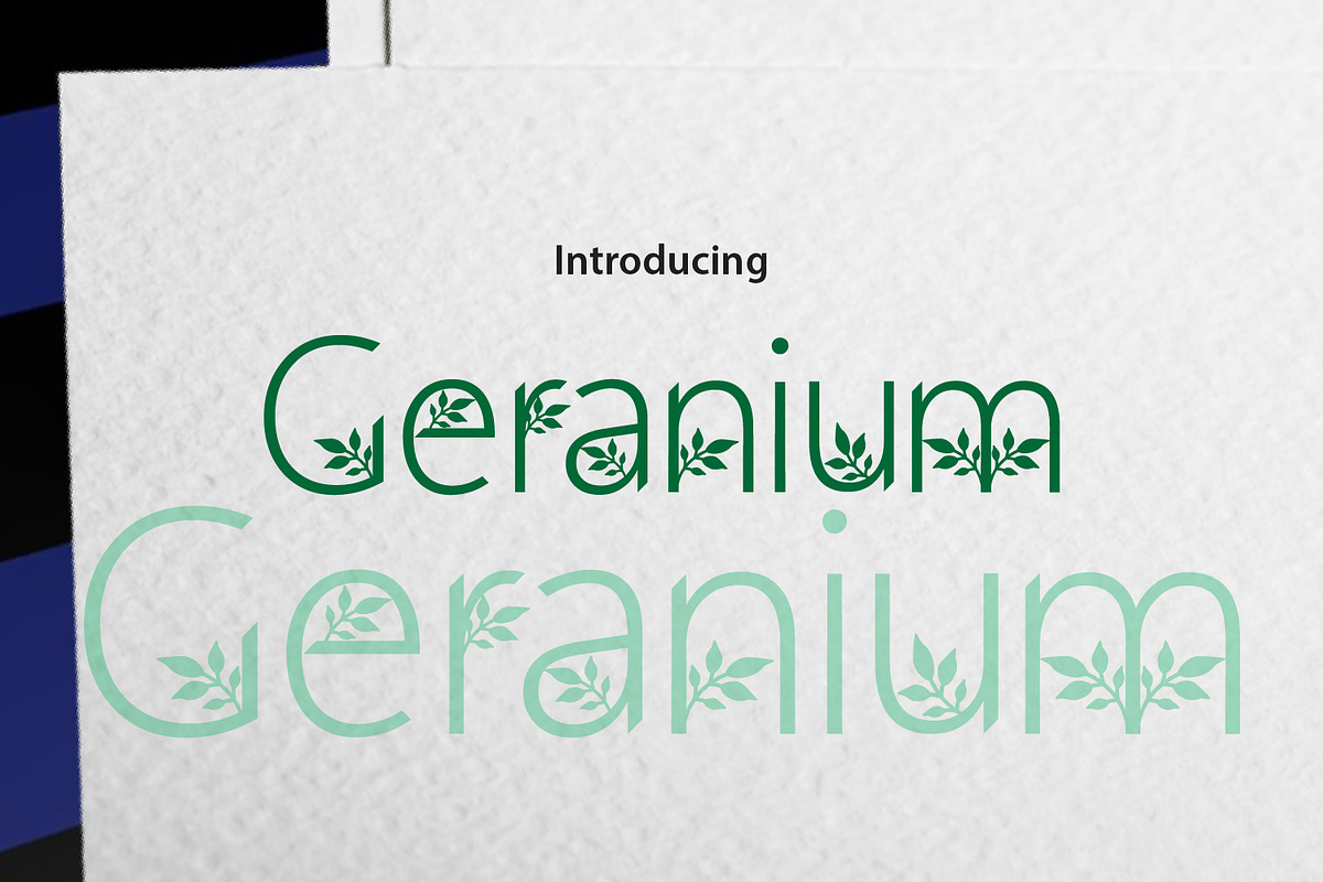 Geranium