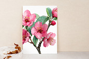 Cherry Blossom Watercolor Clip Art, an Illustration by Libby Wishes (Thumbnail 4 of 7)