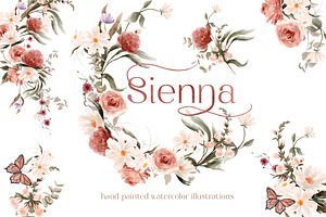 Wild Floral Illustrations - Sienna