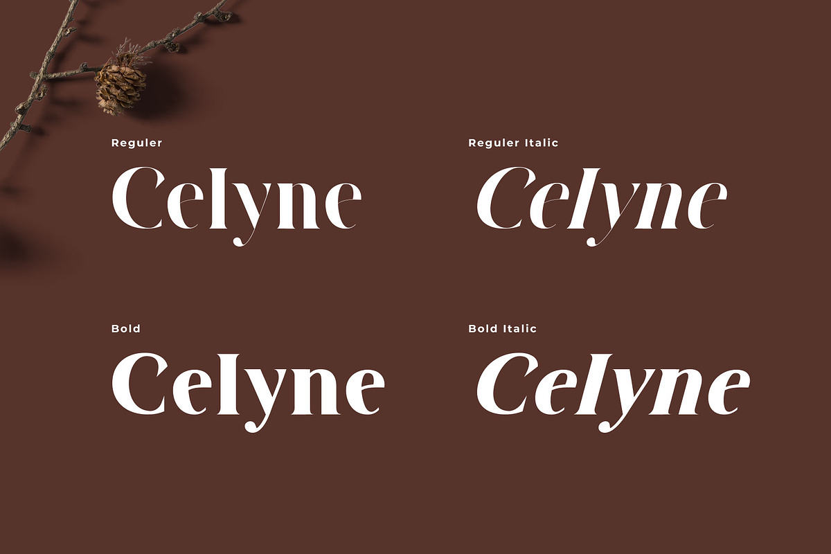 Sorhe - Elegant Serif Font, a Serif Font by RantautypeStudio (Photo 10 of 17)