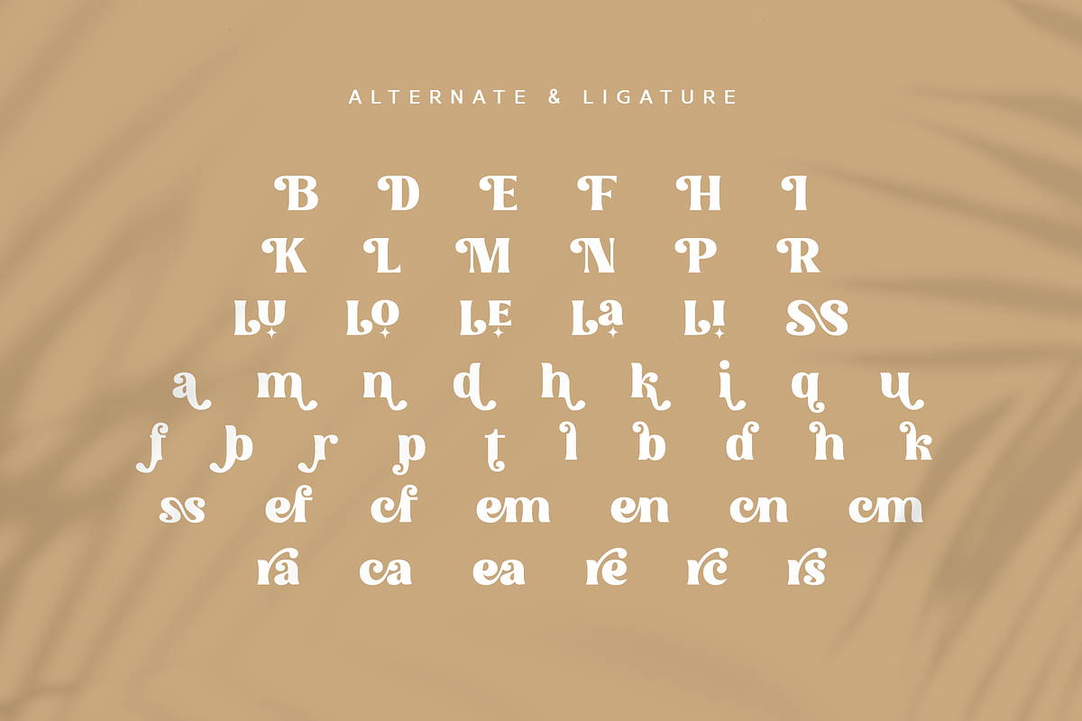 Molendra - Display Serif Typeface, a Serif Font by Artchitype Studio (Photo 16 of 17)