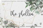 the shellra script, a Script Font by Quothron (Thumbnail 1 of 7)