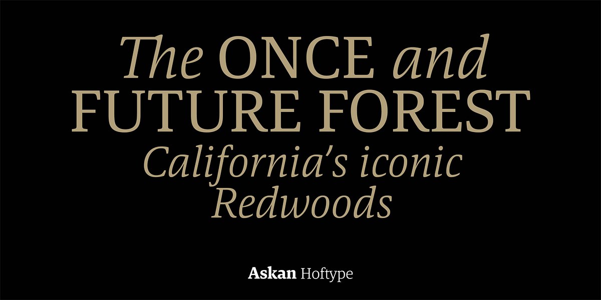 Askan, a Serif Font by Hoftype (Photo 9 of 14)