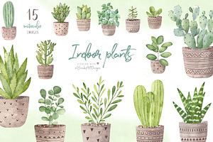 Watercolor indoor plants.