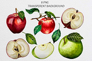Watercolor Apple Clipart Pattern Set, a Food Illustration by Fresh art by Larysa (Thumbnail 2 of 10)