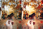 Fall - Autmun Photoshop Actions preview 2