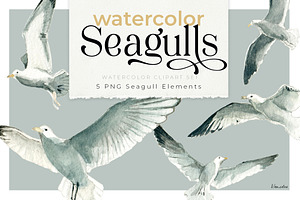 Seagull Watercolor Clipart PNG