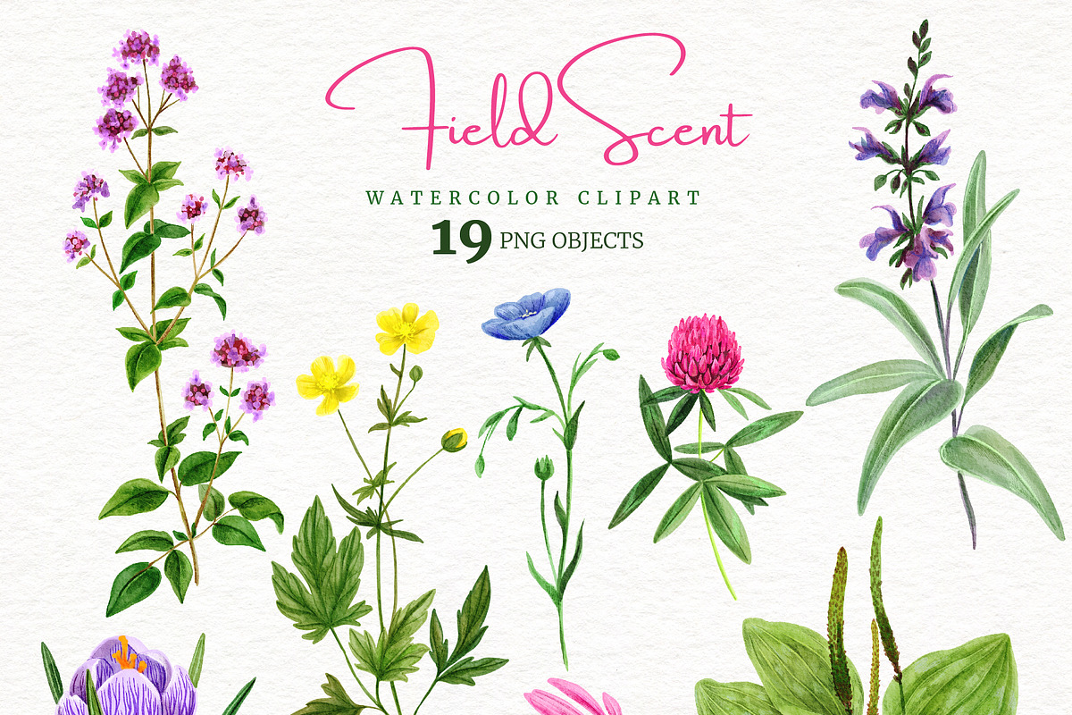 Field Watercolor Flowers, an Object Graphic by JSolomatina (Photo 2 of 5)