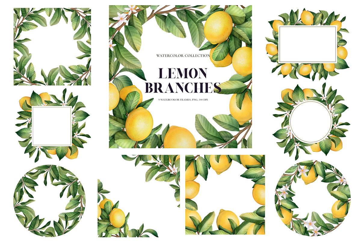 Lemon branches. Watercolor PNG, an Illustration by OlyaGutArt (Photo 3 of 4)
