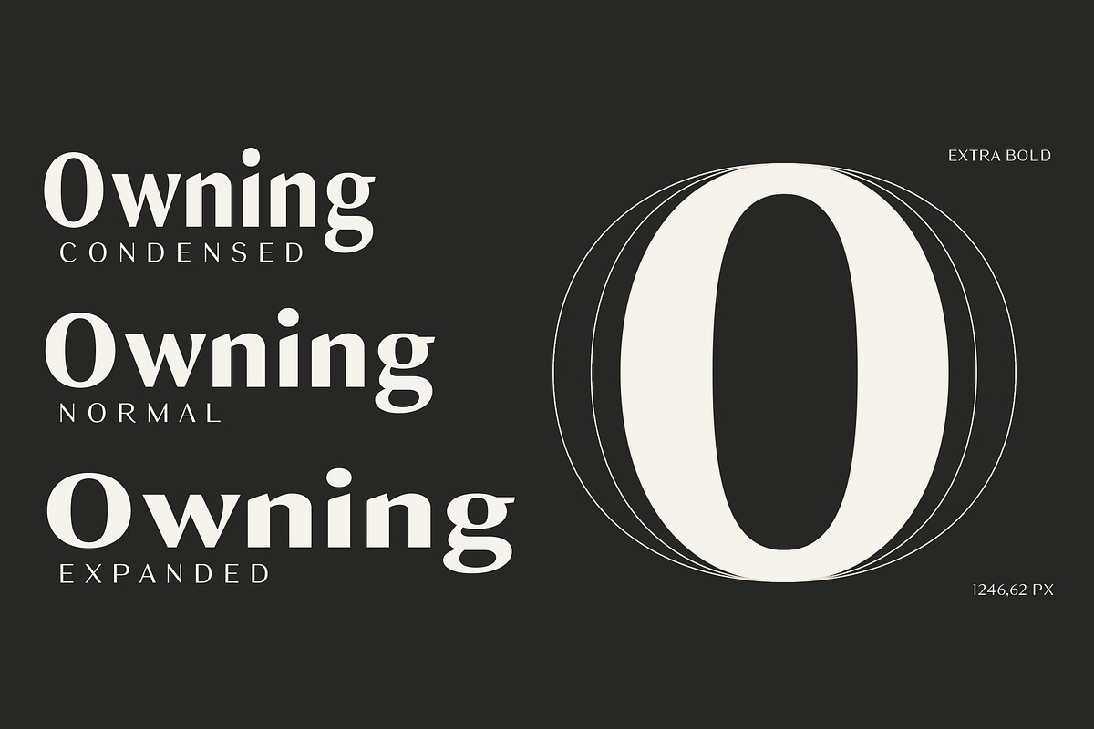 Owning Sans, a Sans Serif Font by Dora Typefoundry (Photo 4 of 10)
