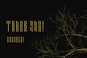 Branch font latin and cyrillic, a Serif Font by Kseniia Kuznetsova (Thumbnail 5 of 5)