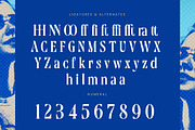 Moonni Zehher Bold Tall Serif, a Serif Font by timelesstype.co (Thumbnail 18 of 20)