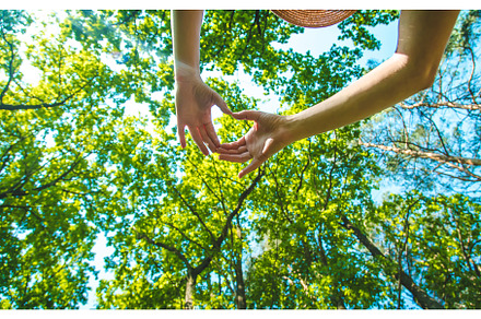 Sunny day trees and sky hands heart, a Nature Photo by yanadjana