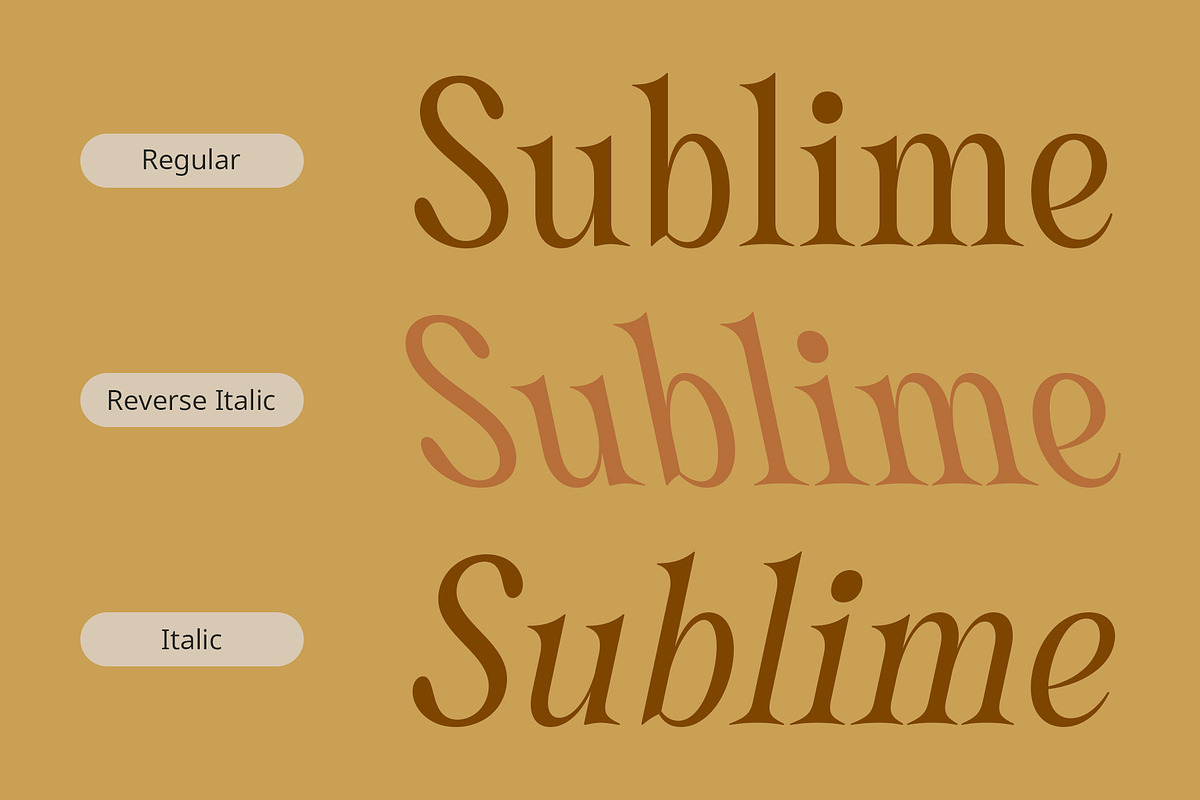 CS Dustine – Elegant Font, a Serif Font by Craft Supply Co. (Photo 2 of 8)