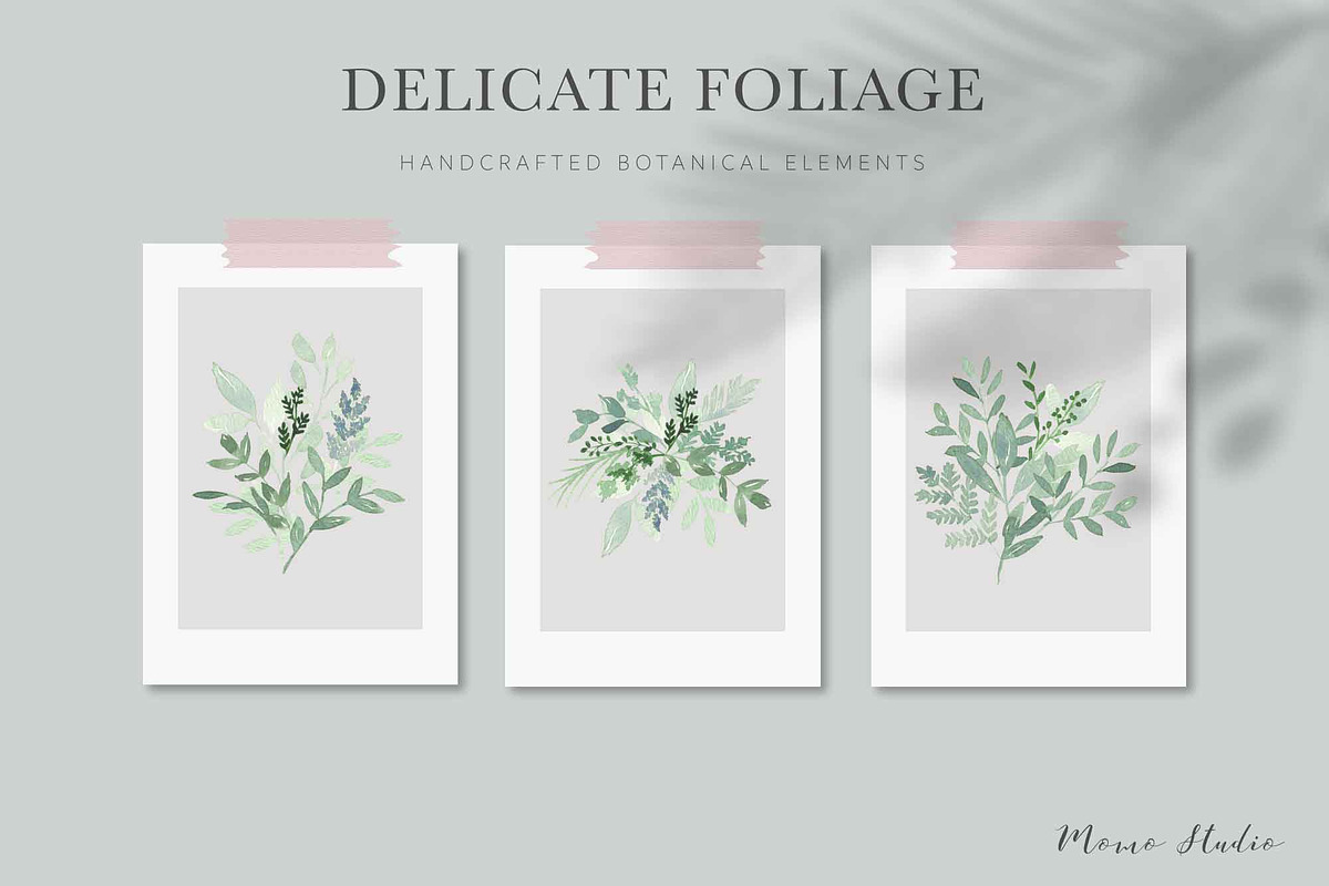DELICATE FOLIAGE leaves greenery, an Illustration by Momo Studio (Photo 12 of 15)