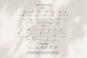 Anolia Mathew, a Script Font by artism_design (Thumbnail 3 of 7)