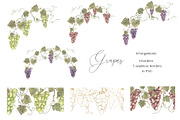 Watercolor Grapes Collection, a Decorative Illustration by MayaNavits (Thumbnail 5 of 9)