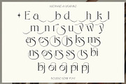 Eloires Elegant Stylish Serif Font, a Serif Font by Heinzel Std (Thumbnail 9 of 11)