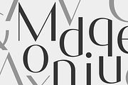 Mondique – Elegant Font Family, a Sans Serif Font by Marc Lohner (Thumbnail 3 of 10)