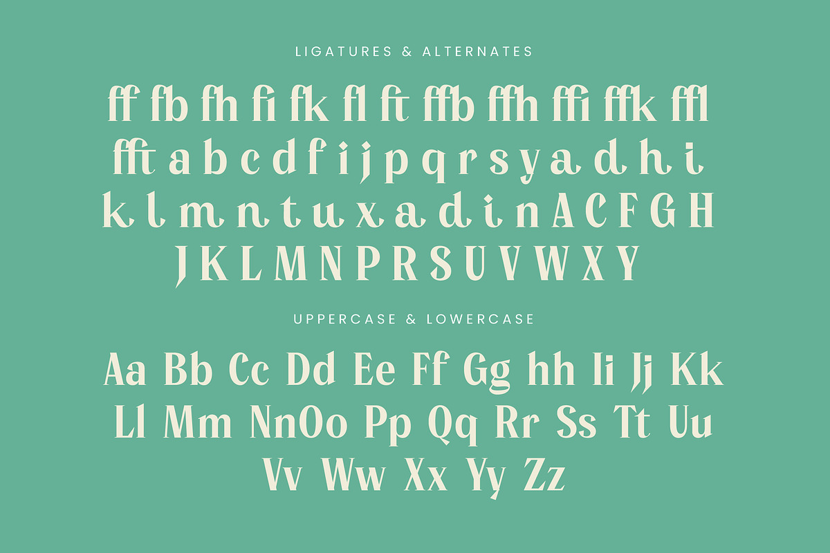 Manica Modern Editorial Serif, a Serif Font by timelesstype.co (Photo 19 of 20)