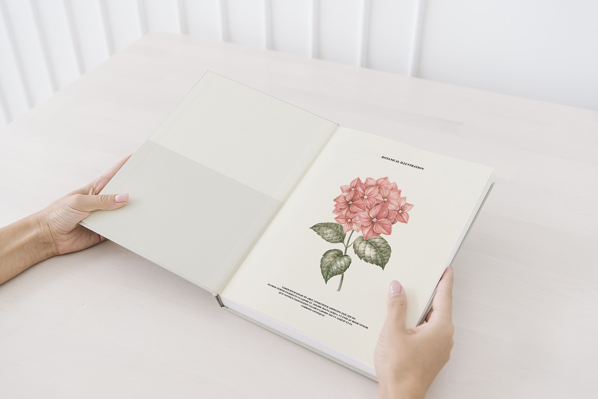 Bouquets roses & hydrangea, an Illustration by Kotkoa (Photo 6 of 8)