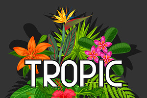 Backgrounds With Tropical Plants.