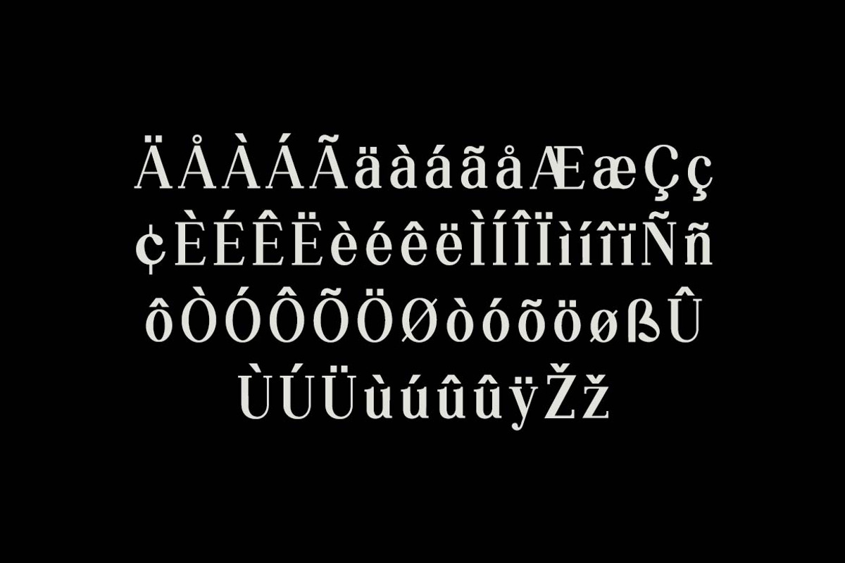 Silvex Editorial Serif Family Font, a Serif Font by UICreative (Photo 3 of 13)