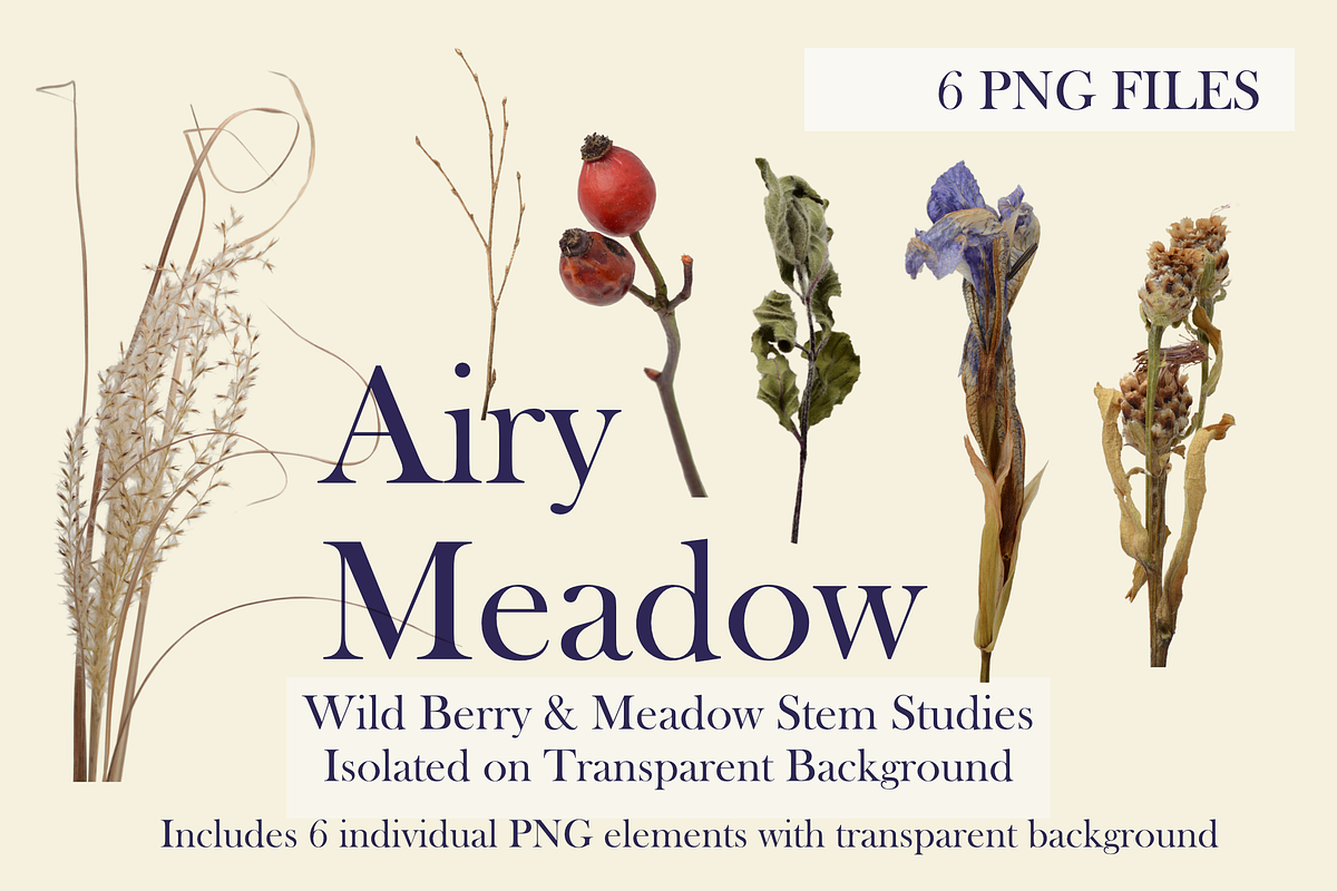 Airy Meadow Cleanly Cut Flower Photo, an Object Graphic by Aga Silva (Photo 1 of 7)