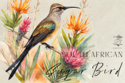 Sugar Bird and Fynbos Flowers, a Decorative Illustration by Karliefie (Thumbnail 1 of 4)
