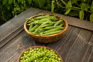 Fresh, ripe green peas, a Photo by Grafvision photography