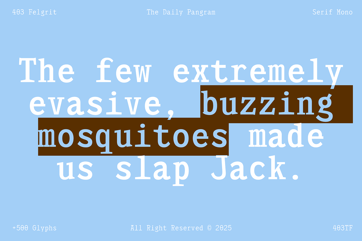 403 Felgrit, a Slab Serif Font by 403 Type Foundry (Photo 11 of 15)