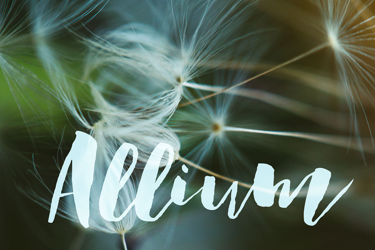 Allium PHOTOSHOP action, an Action Add-On by Les Hirondelles Ph (Photo 1 of 9)