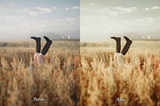 30 Harvest Lightroom Collection, a Preset Add-On by 3Motional (Thumbnail 2 of 11)
