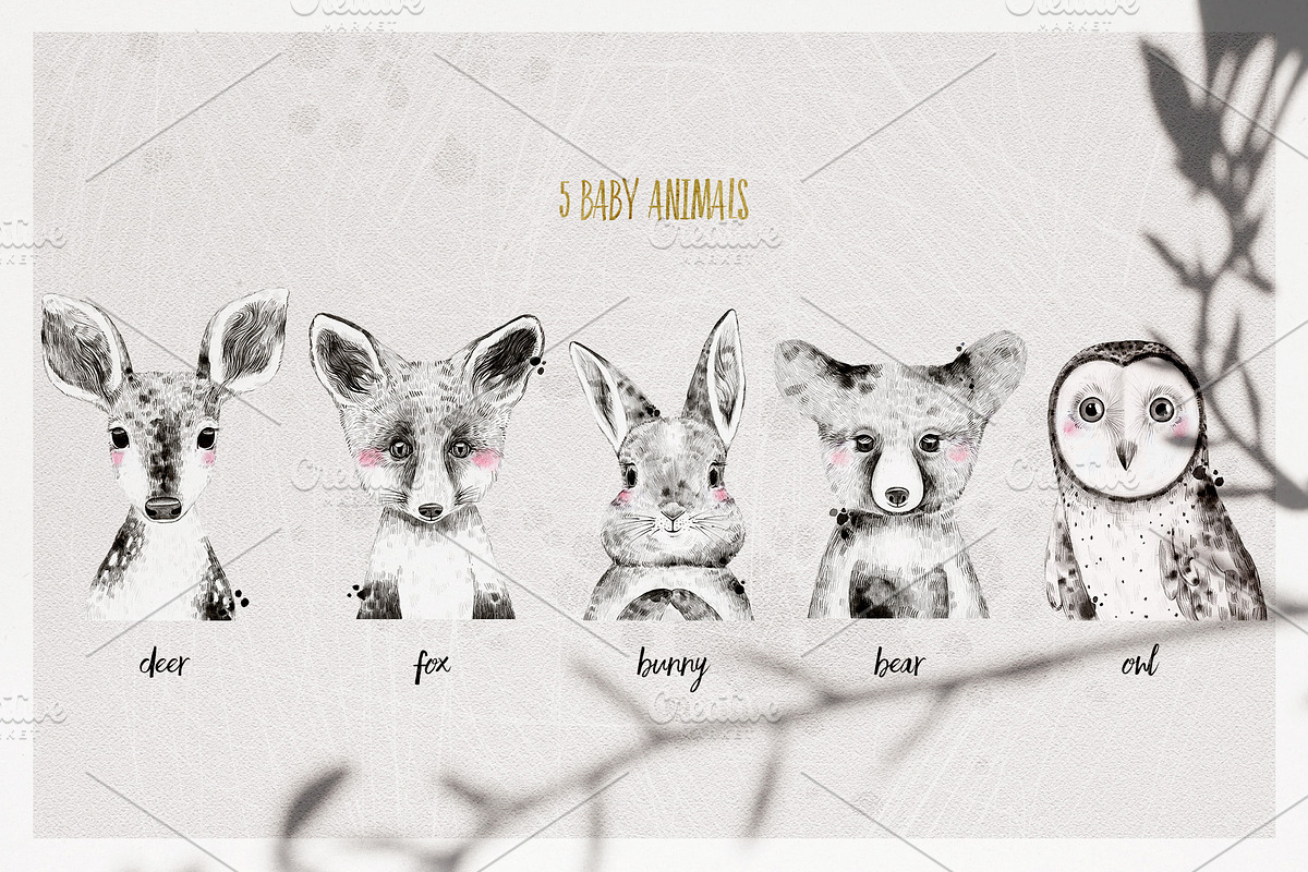 WOODLAND BABIES watercolor set, an Animal Illustration by Natali Smolova (Photo 4 of 7)