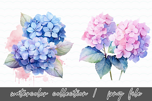 Hydrangea Flowers Watercolor Clipart