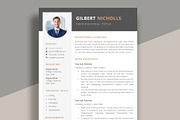 Professional Resume for word, a Resume Template by aivos (Thumbnail 1 of 7)