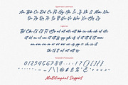 Blushy Charm - Bold Script Font, a Font by Subectype Studio (Thumbnail 14 of 14)