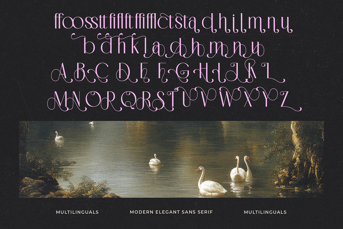 Medish - Modern Elegant Sans Serif, a Sans Serif Font by timelesstype.co (Photo 15 of 15)