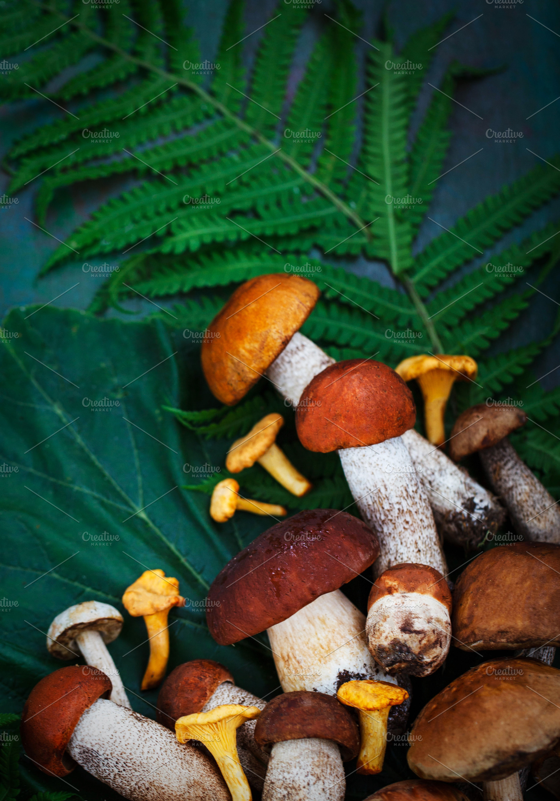 Fresh uncooked wild mushrooms on rus, a Background Photo by Kate S