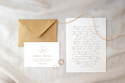Lady Clementine wedding script fonts, a Serif Font by Angele Kamp (Thumbnail 4 of 10)